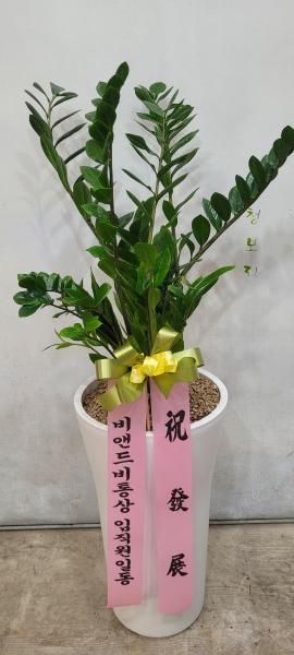 업로드 이미지
