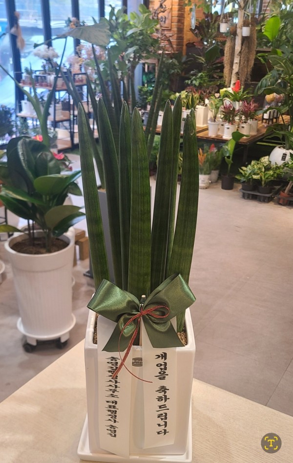 업로드 이미지