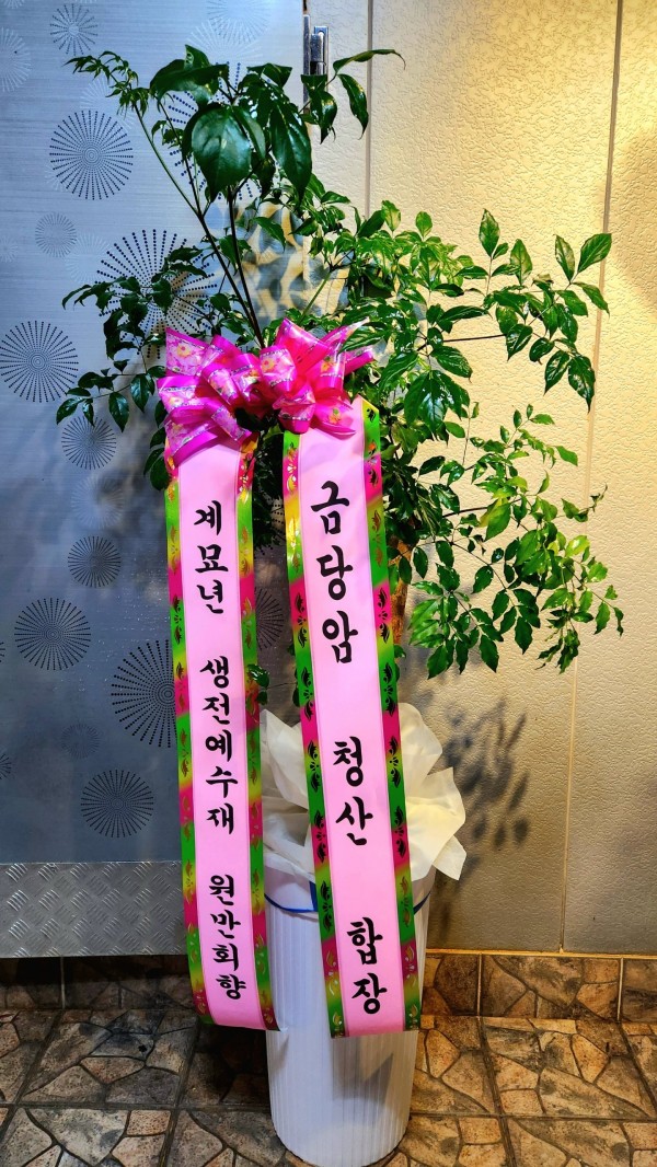 업로드 이미지