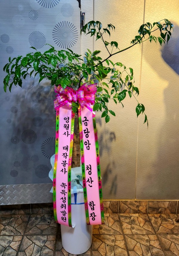업로드 이미지