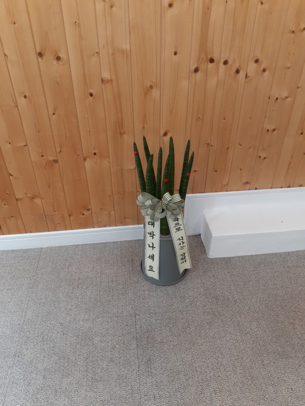 업로드 이미지