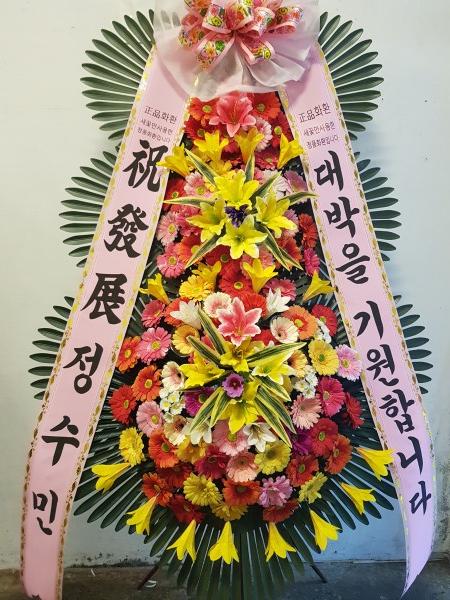 업로드 이미지