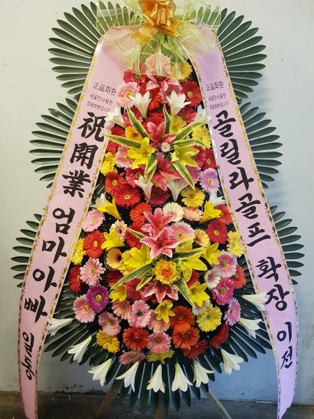 업로드 이미지