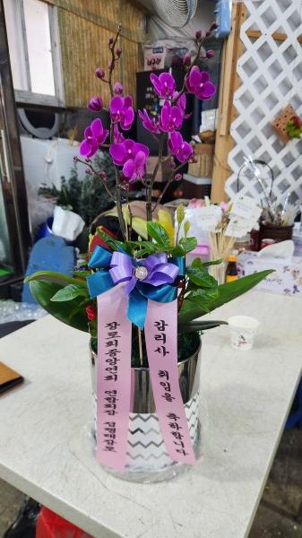 업로드 이미지
