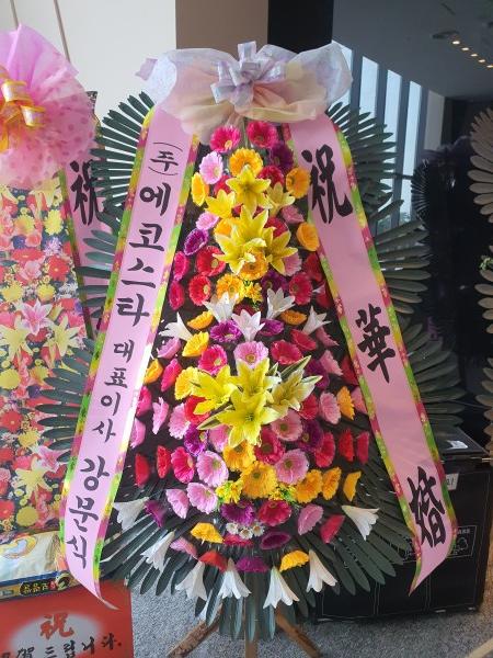 업로드 이미지