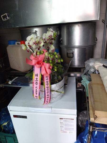 업로드 이미지