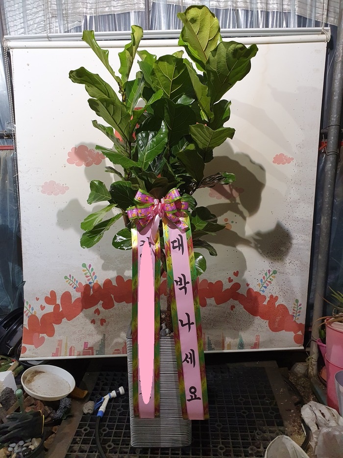 업로드 이미지