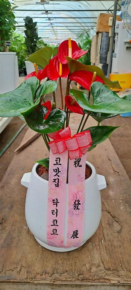 업로드 이미지