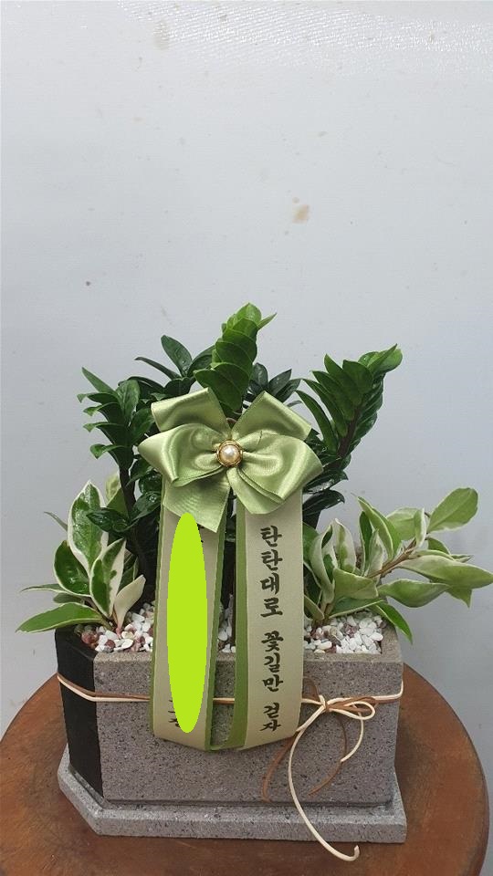 업로드 이미지