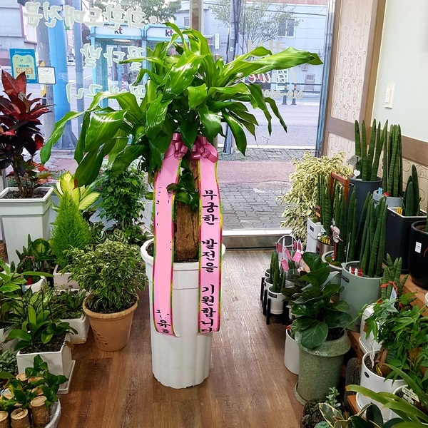 업로드 이미지