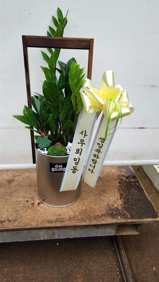업로드 이미지