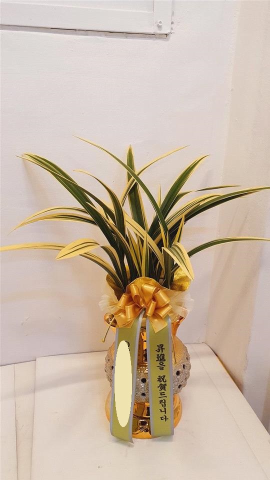 업로드 이미지