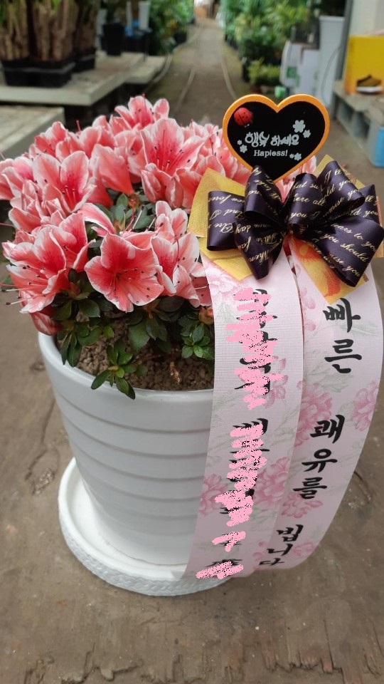 배송사진