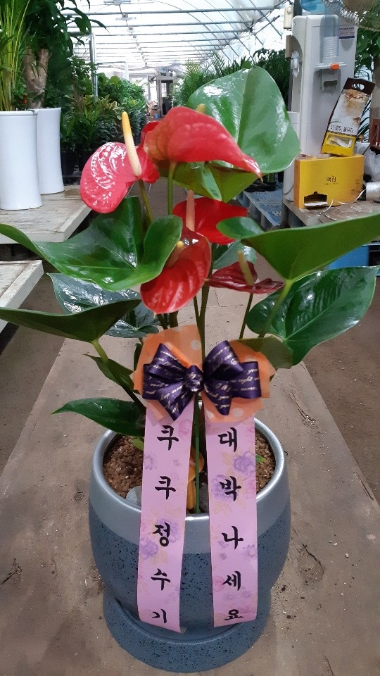 배송사진