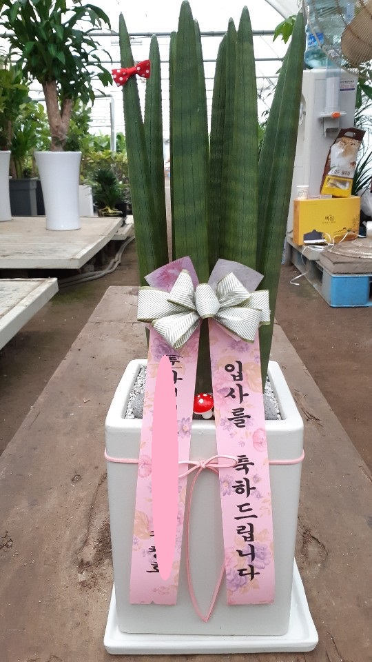 배송사진