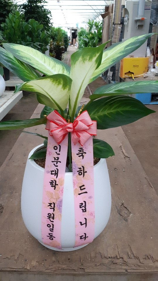 배송사진