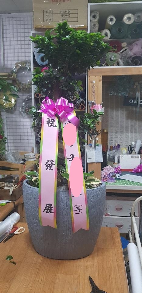 배송사진