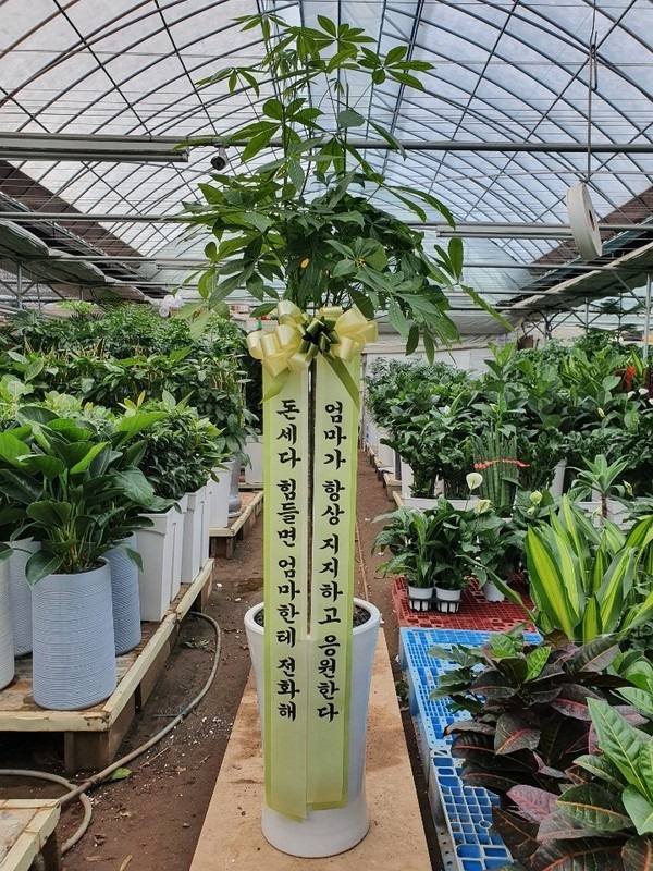 배송사진