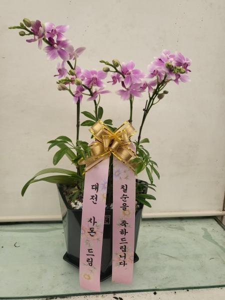 업로드 이미지