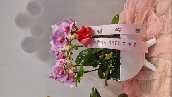 업로드 이미지