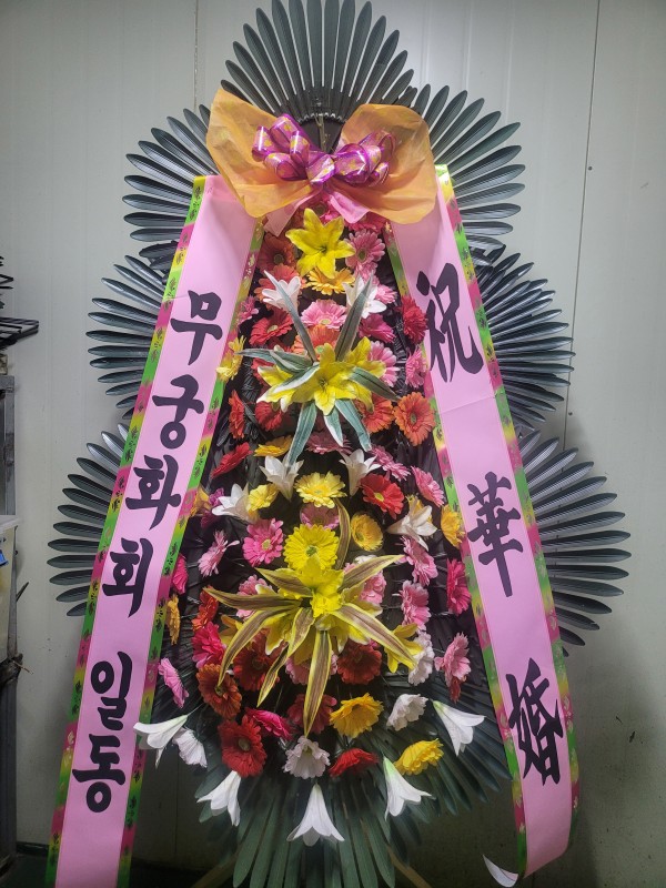업로드 이미지