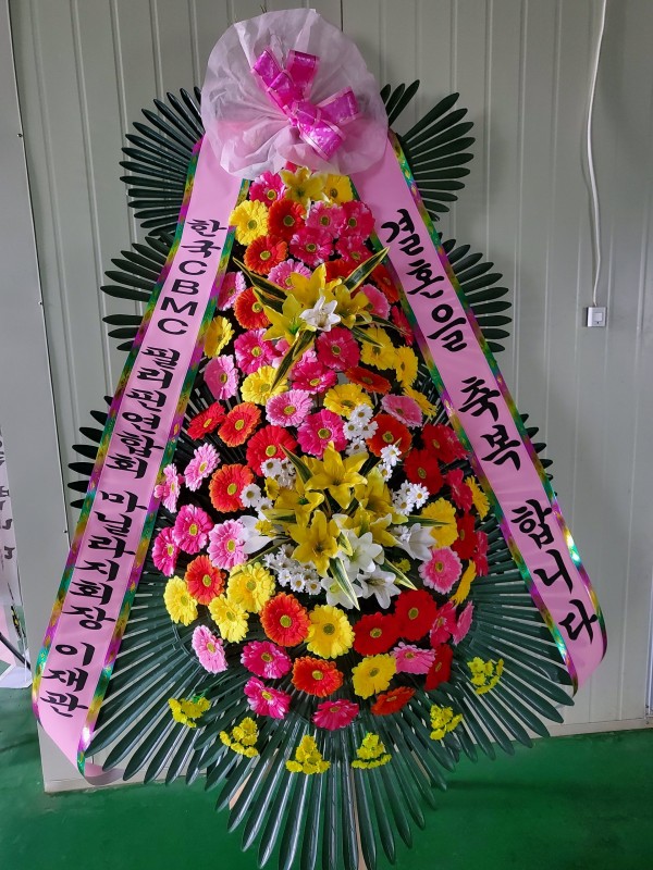 업로드 이미지