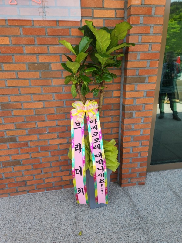 업로드 이미지