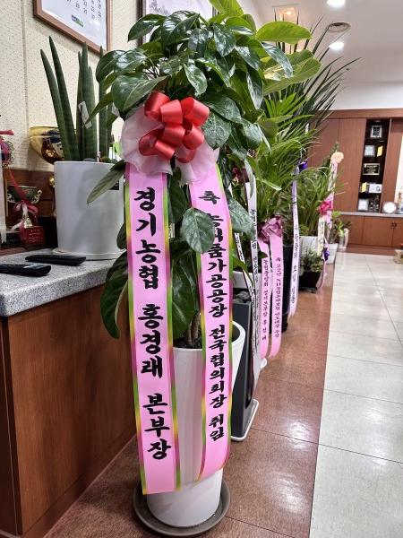 업로드 이미지