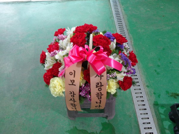 업로드 이미지