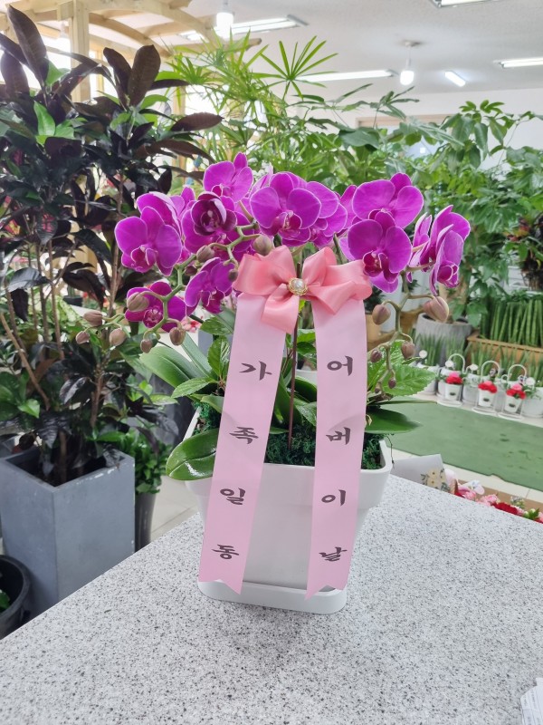 업로드 이미지
