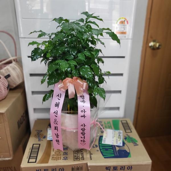 업로드 이미지