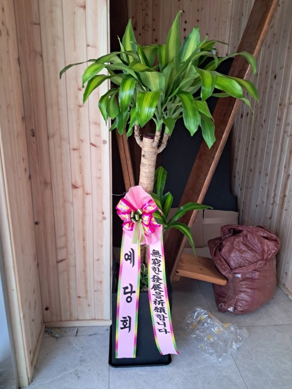 업로드 이미지