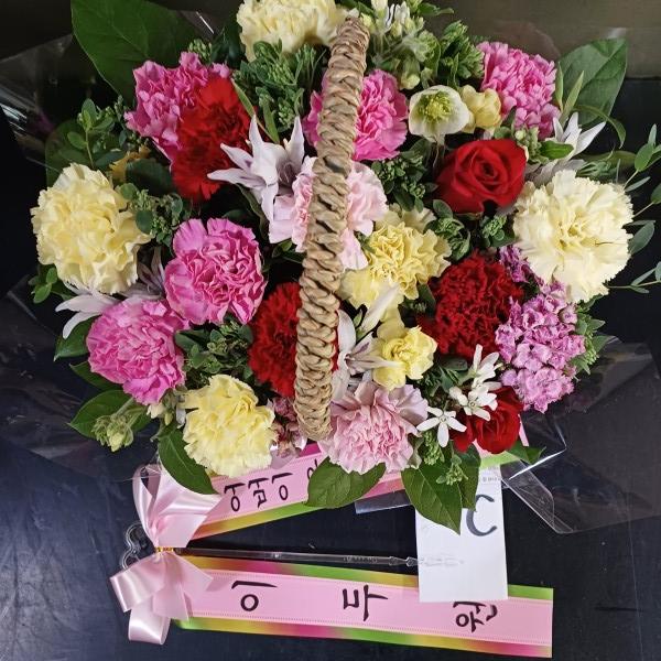 업로드 이미지