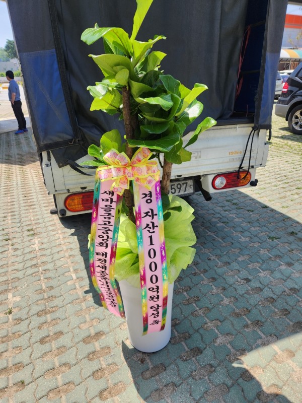 업로드 이미지