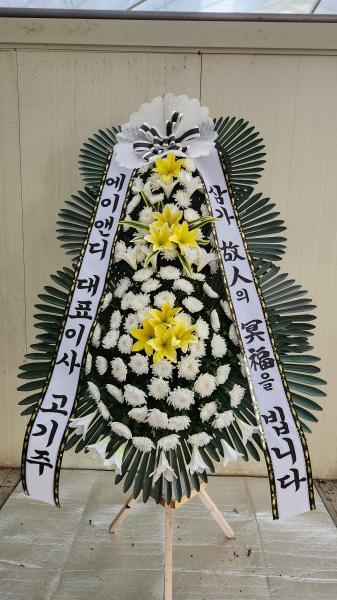 업로드 이미지