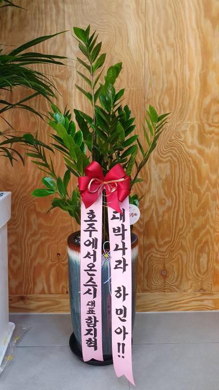 업로드 이미지