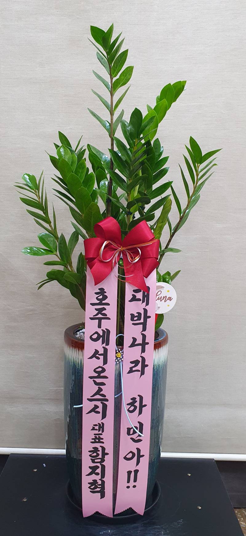 업로드 이미지