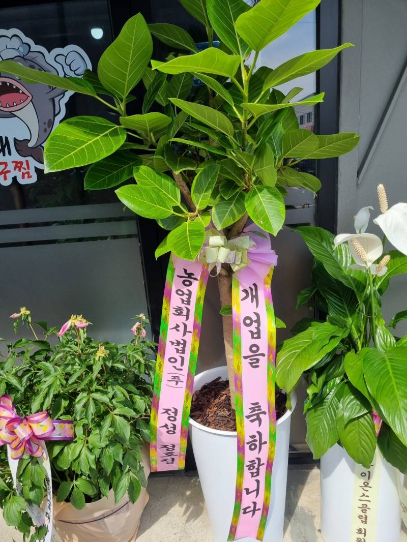 업로드 이미지