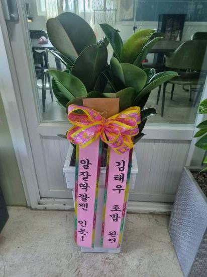 업로드 이미지