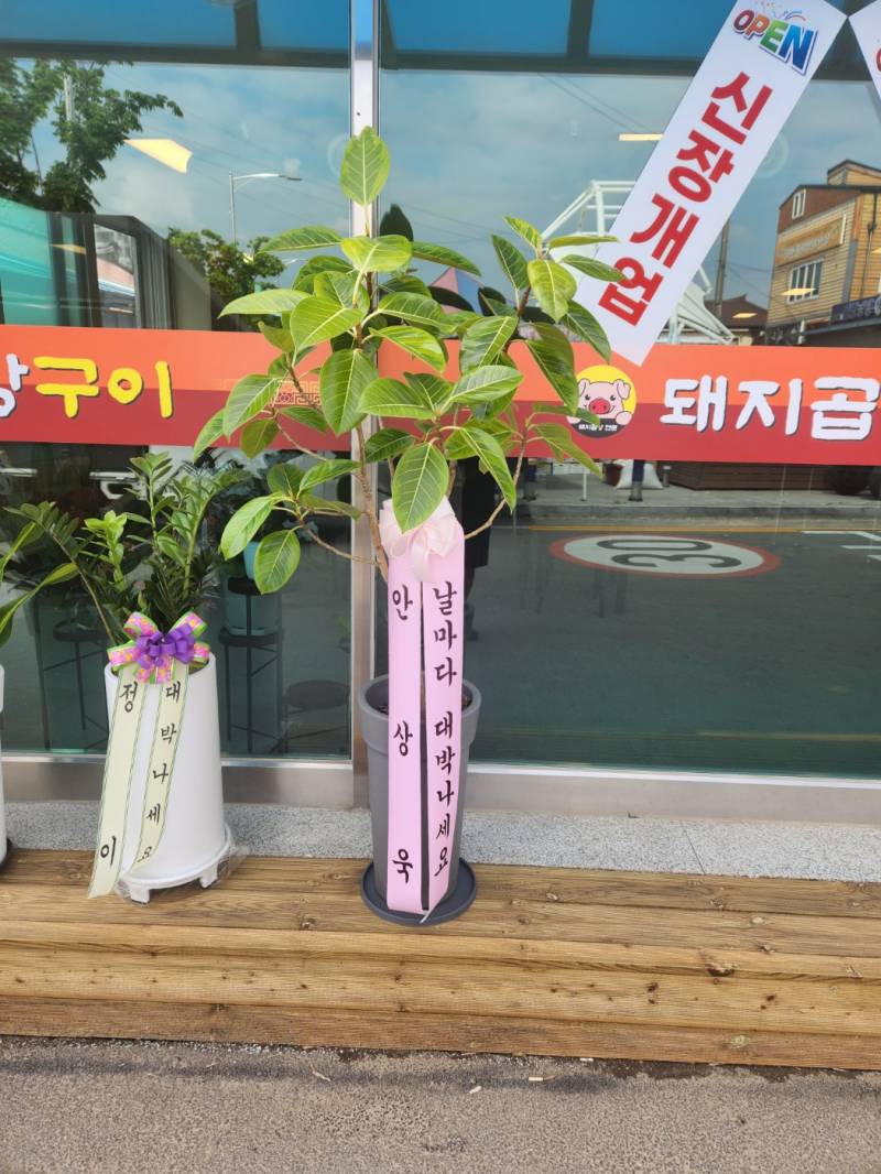 업로드 이미지