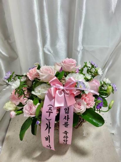 업로드 이미지
