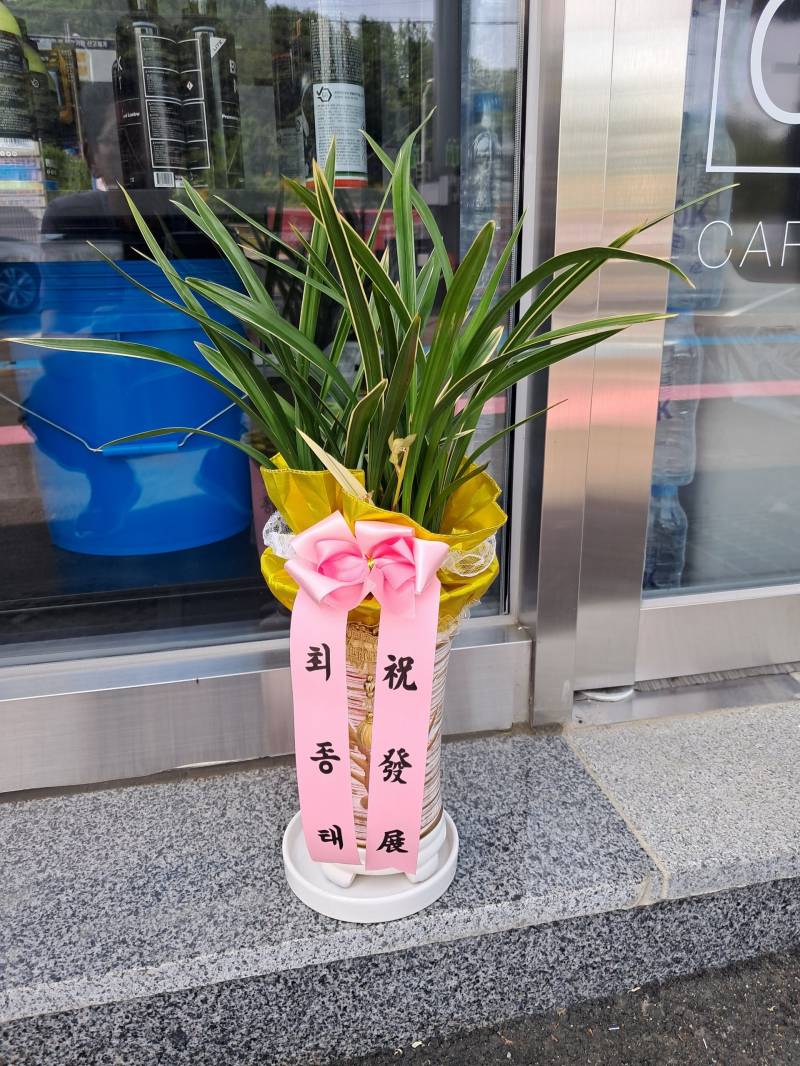 업로드 이미지