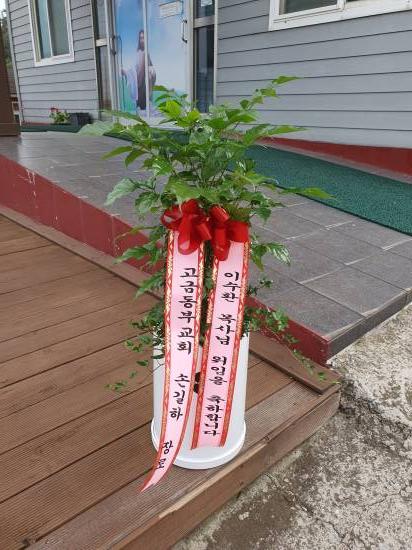 업로드 이미지