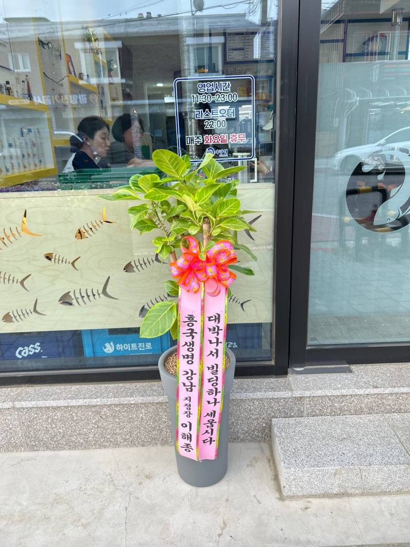 업로드 이미지