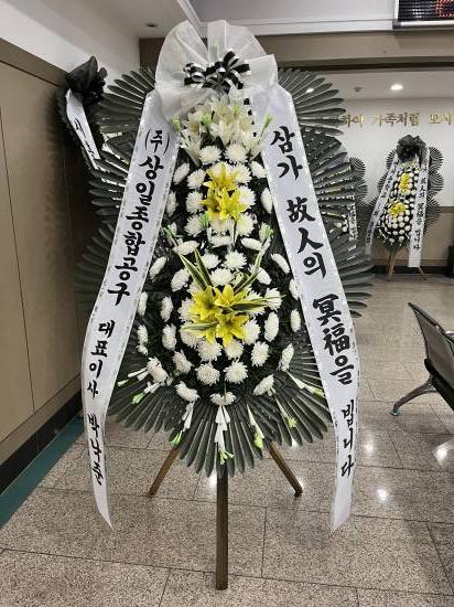 업로드 이미지