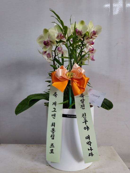 업로드 이미지