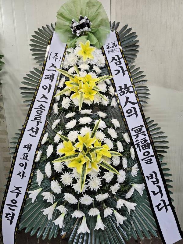 업로드 이미지