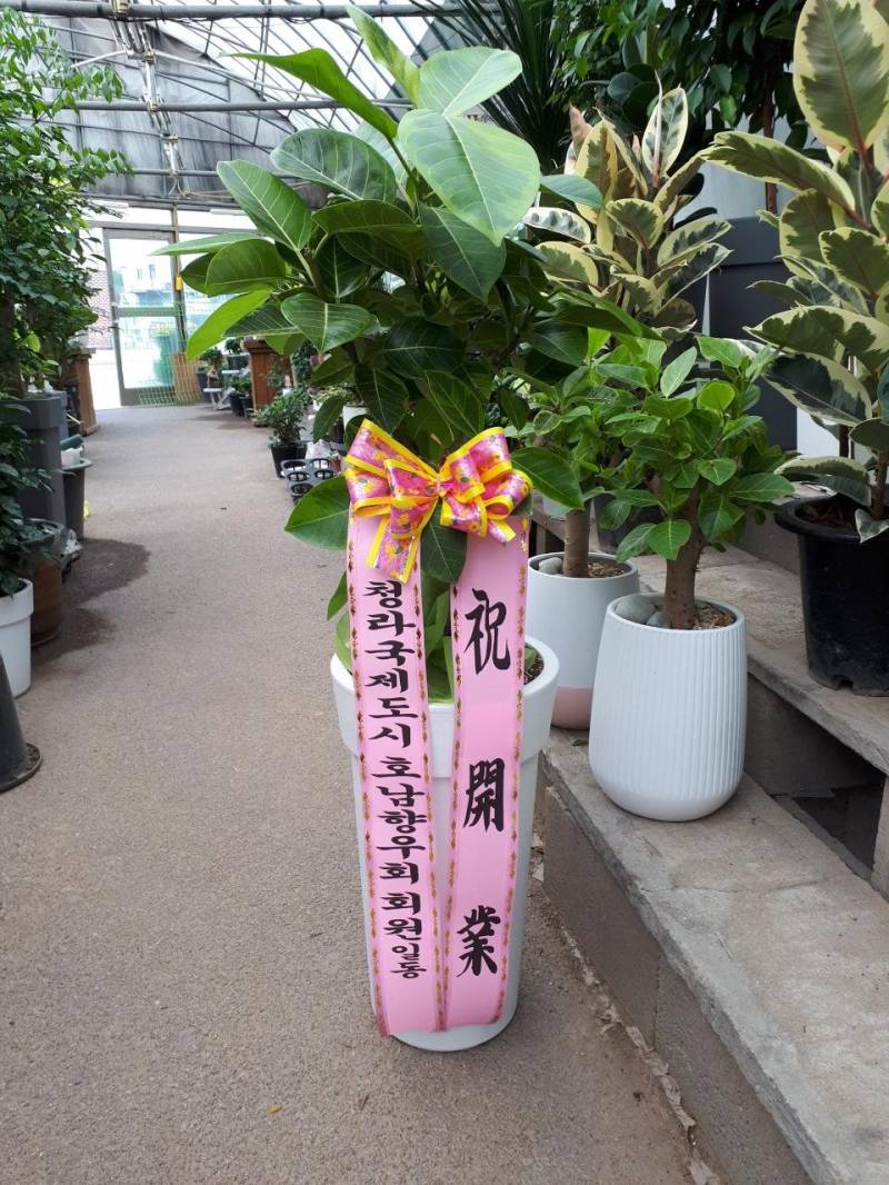 업로드 이미지