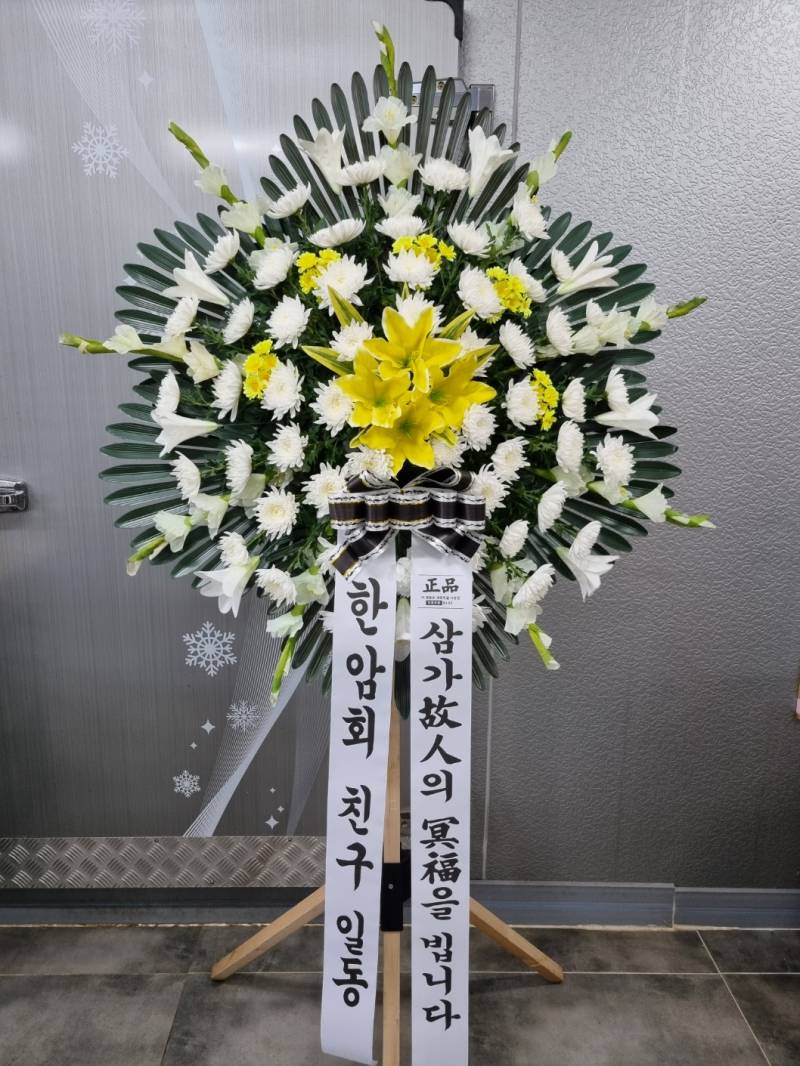 업로드 이미지