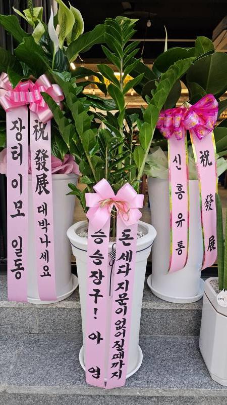 업로드 이미지